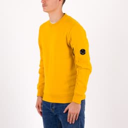 Diagonal Raised Fleece Lens Crew Sweat - 2