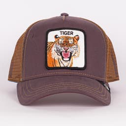 Eye of the Tiger - 2