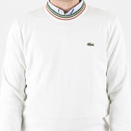 Striped Cotton Jersey Sweater - 6