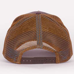 Eye of the Tiger - 3