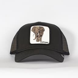 Elephant - 2