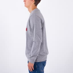 Logo Sweatshirts - 4