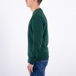 Tim Crew Organic Cotton - 4