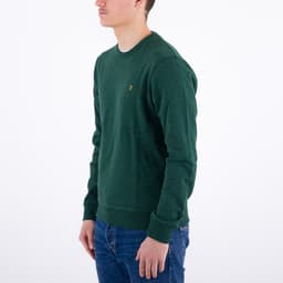 Tim Crew Organic Cotton - 2