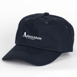 Active Baseball Cap - 1