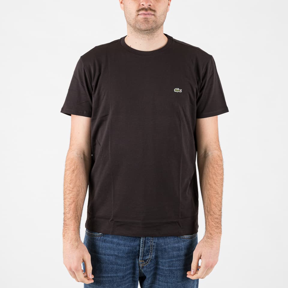 Crew Neck Pima Cotton Jersey T-Shirt - Lacoste - T-shirts