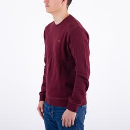 Tim Crew Organic Cotton - 2
