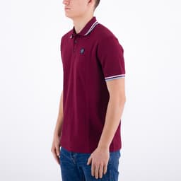 The Classic Polo - 2