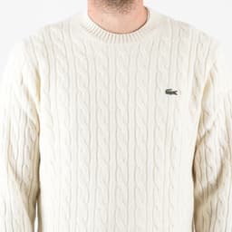 Thick Carded Wool Cable Sweater - 6