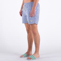 Palm Stripe Swim Short - 1