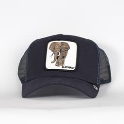 Elephant - 2
