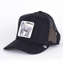 King of the Jungle - 1