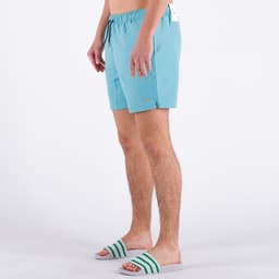 Colbert Plain Swim - 1