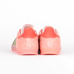 Gazelle Indoor W - 4