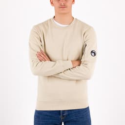 Diagonal Raised Fleece Lens Crew Sweat - 3