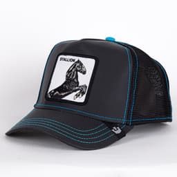 Black Stallion - Reflective Collection - 1