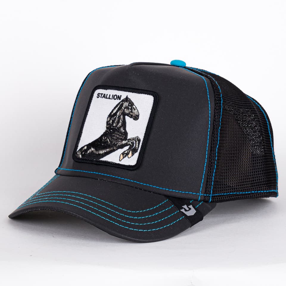 Black Stallion - Reflective Collection - 1