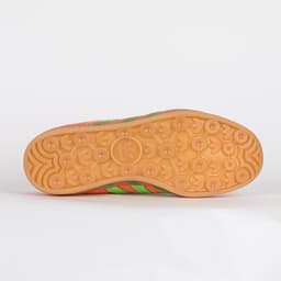 Gazelle Indoor W - 5