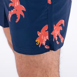 Colbert Palm Print Swim - 5