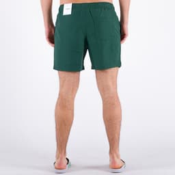 Colbert Plain Swim - 4