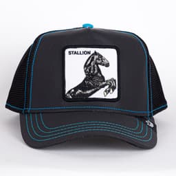 Black Stallion - Reflective Collection - 2