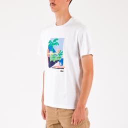 Cotton Print T-Shirt - 2