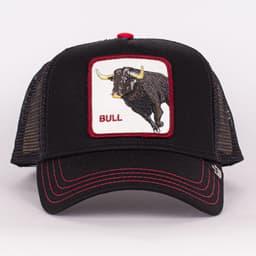 Bull - 2