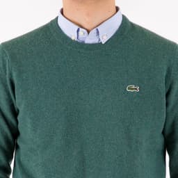 Regular Fit Wool Sweater - 6