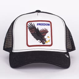 Freedom - 2
