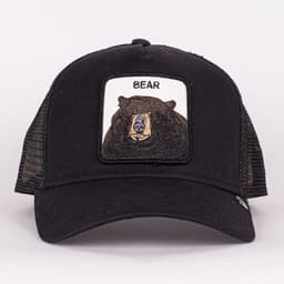 Black Bear - 2