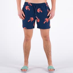 Colbert Palm Print Swim - 2