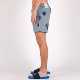 Colbert Plain Swim - 3