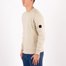 Diagonal Raised Fleece Lens Crew Sweat - 2