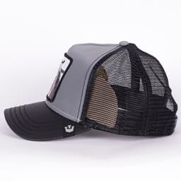 Instinct Only Tiger - 3