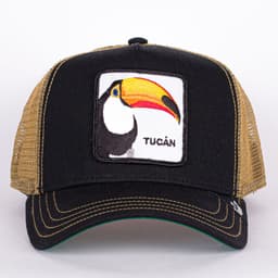 Tucan - 2