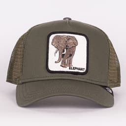 Elephant - 2