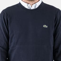 Regular Fit Cotton Jumper - 6