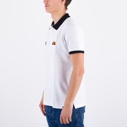 Heritage Polo - 2
