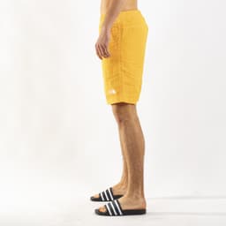 Class V Rapids Swim Short - 3