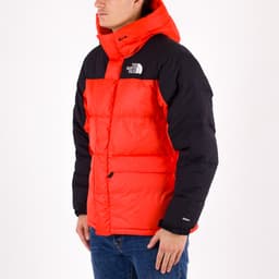 Himalayan Down Parka - 2