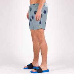 Colbert Plain Swim - 1