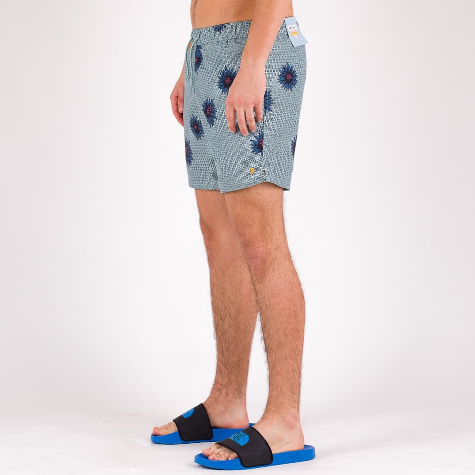 Colbert Plain Swim - 1