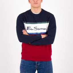 Colour Block Logo Sweatshirt - 3