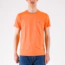 Crew Neck Pima Cotton Jersey T-Shirt