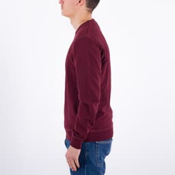 Tim Crew Organic Cotton - 4