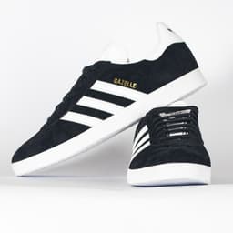 Gazelle - 4