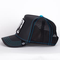 Black Stallion - Reflective Collection - 3