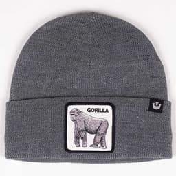 Dark to Light Gorilla - 1