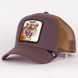 Eye of the Tiger - 1