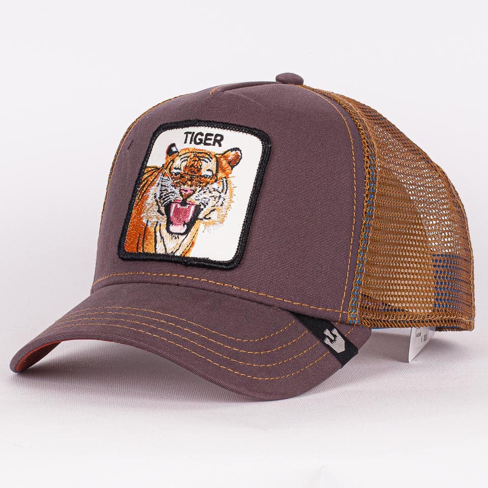 Eye of the Tiger - 1